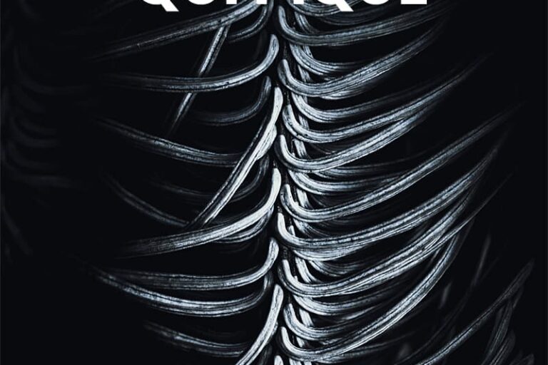 Triptyque de branches de sapin