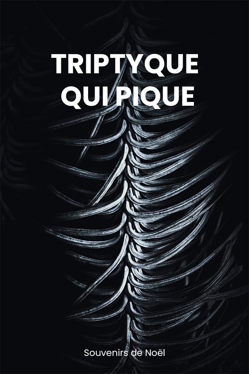 Triptyque de branches de sapin