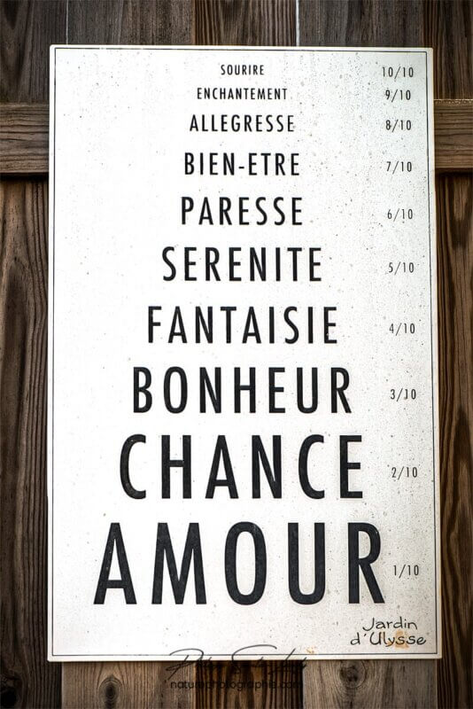 Amour Chance Bonheur