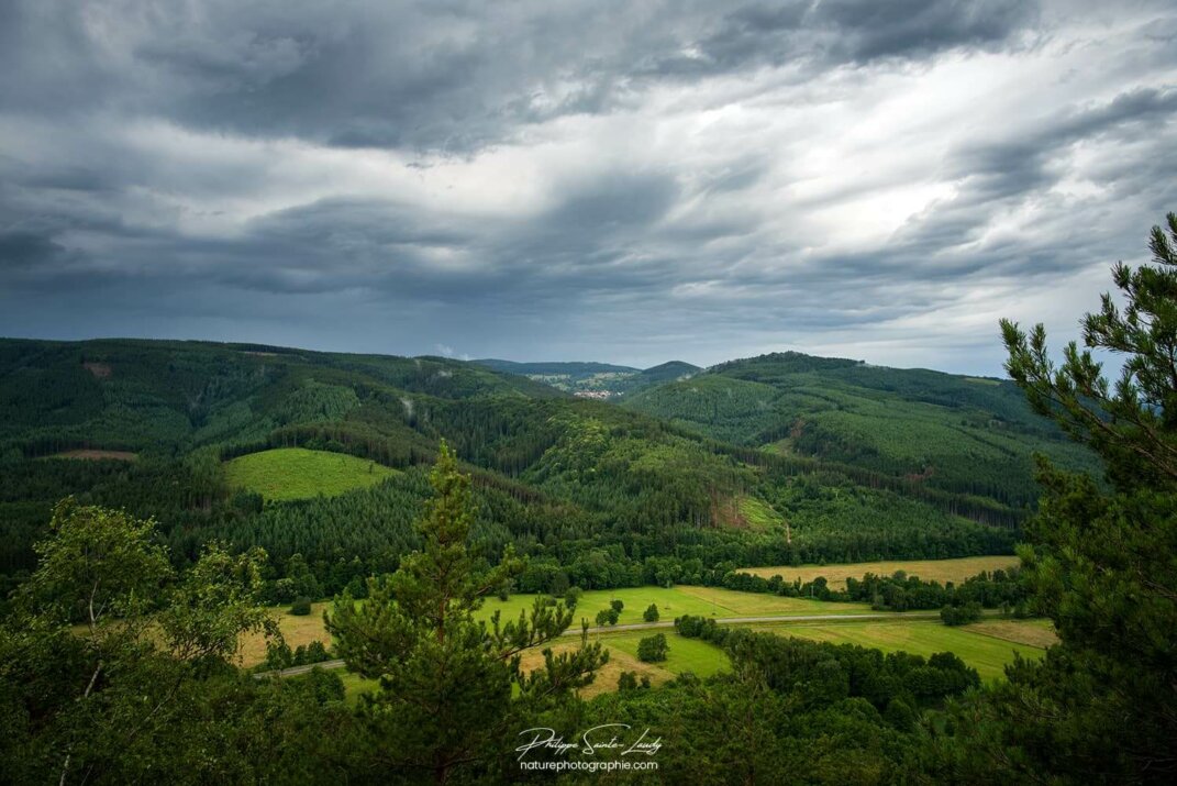 Vue depuis le rocher du corbeau en Alsace