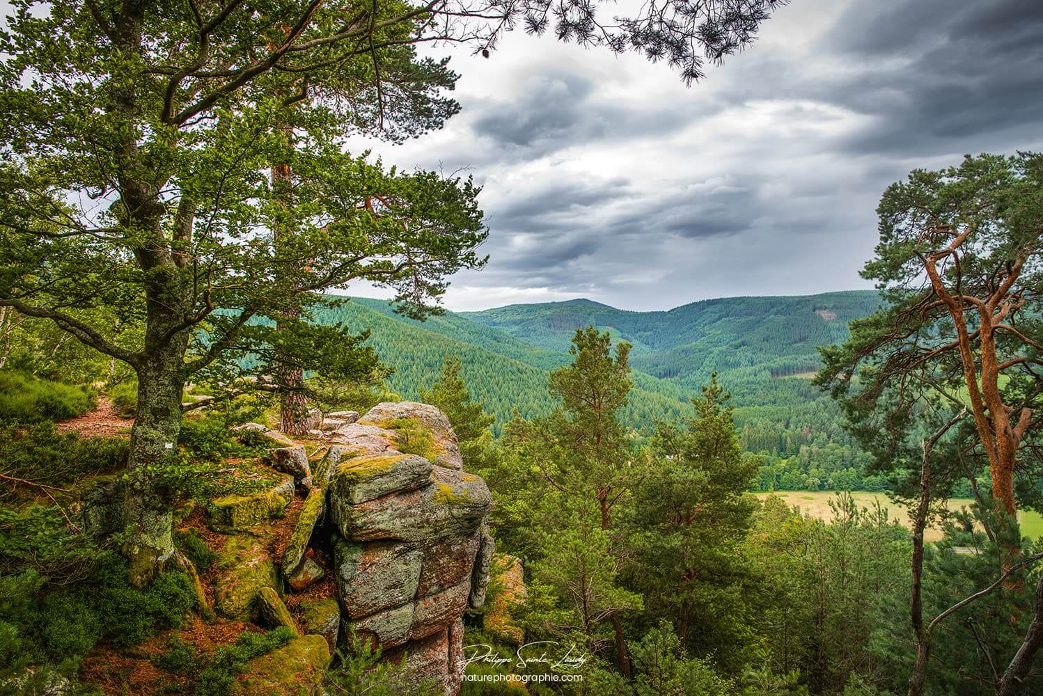 Paysage depuis le rocher du corbeau