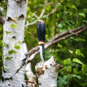 Vagabond Puukko sur bouleau