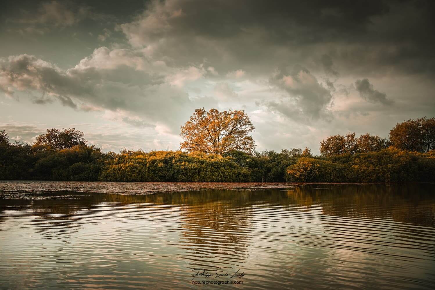 Paysage avec ciel chargé