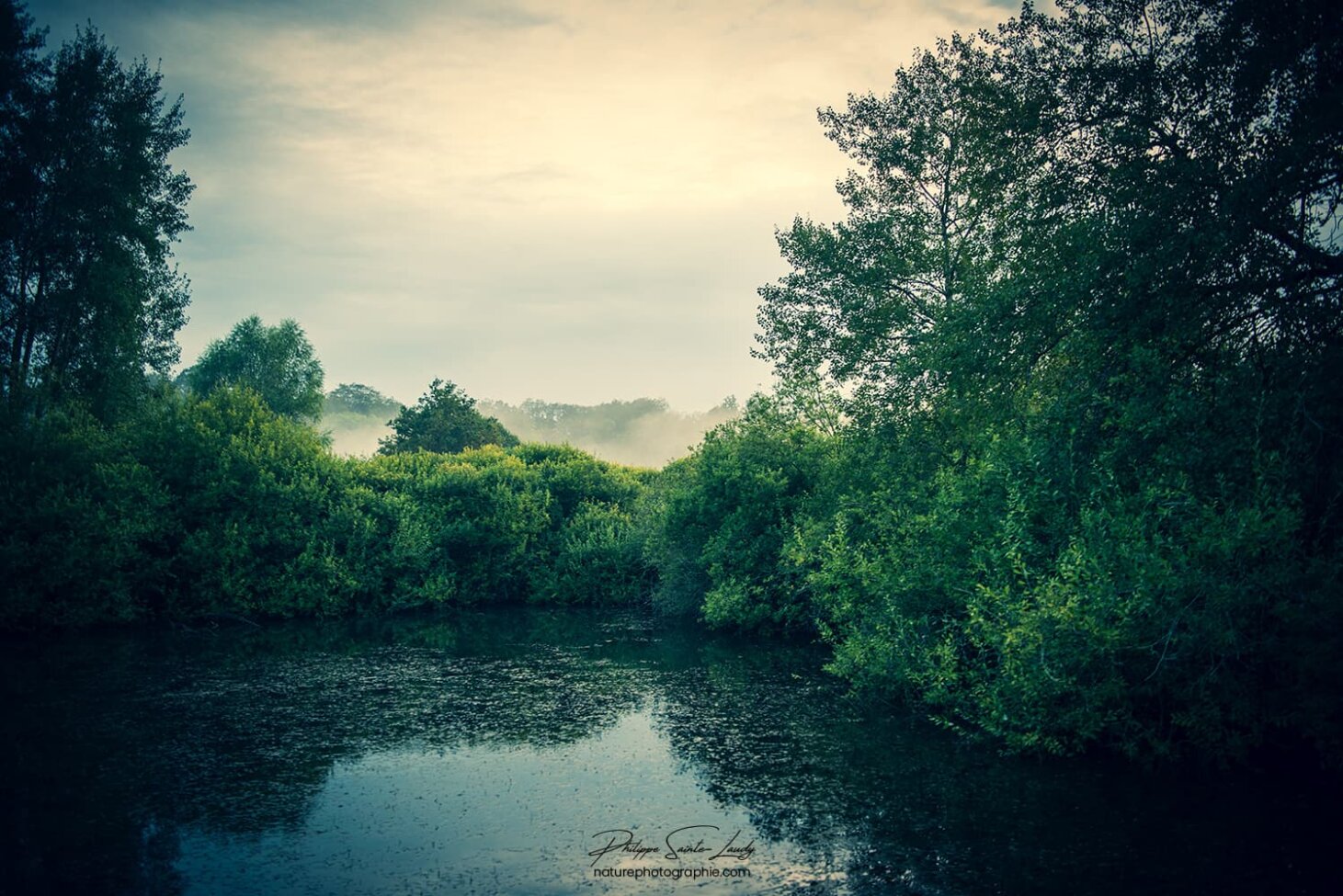 Reflet de la campagne Mosellane