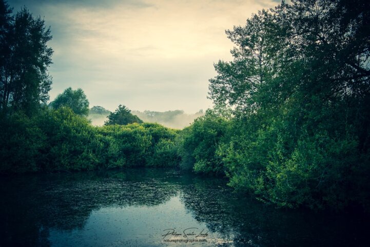 Reflet de la campagne Mosellane