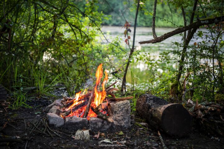 Feu de camp