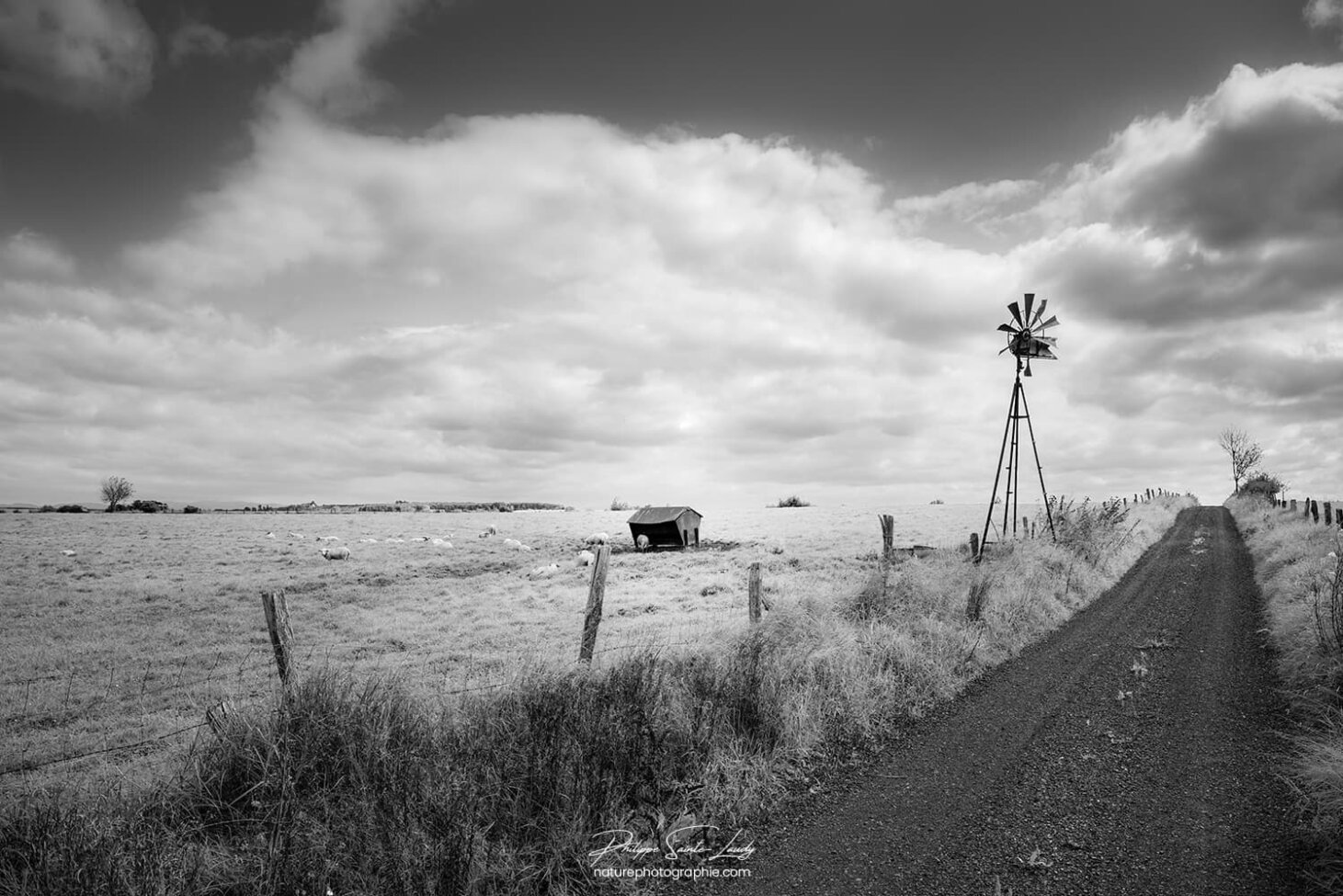 Campagne en noir et blanc