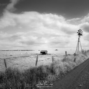 Campagne en noir et blanc