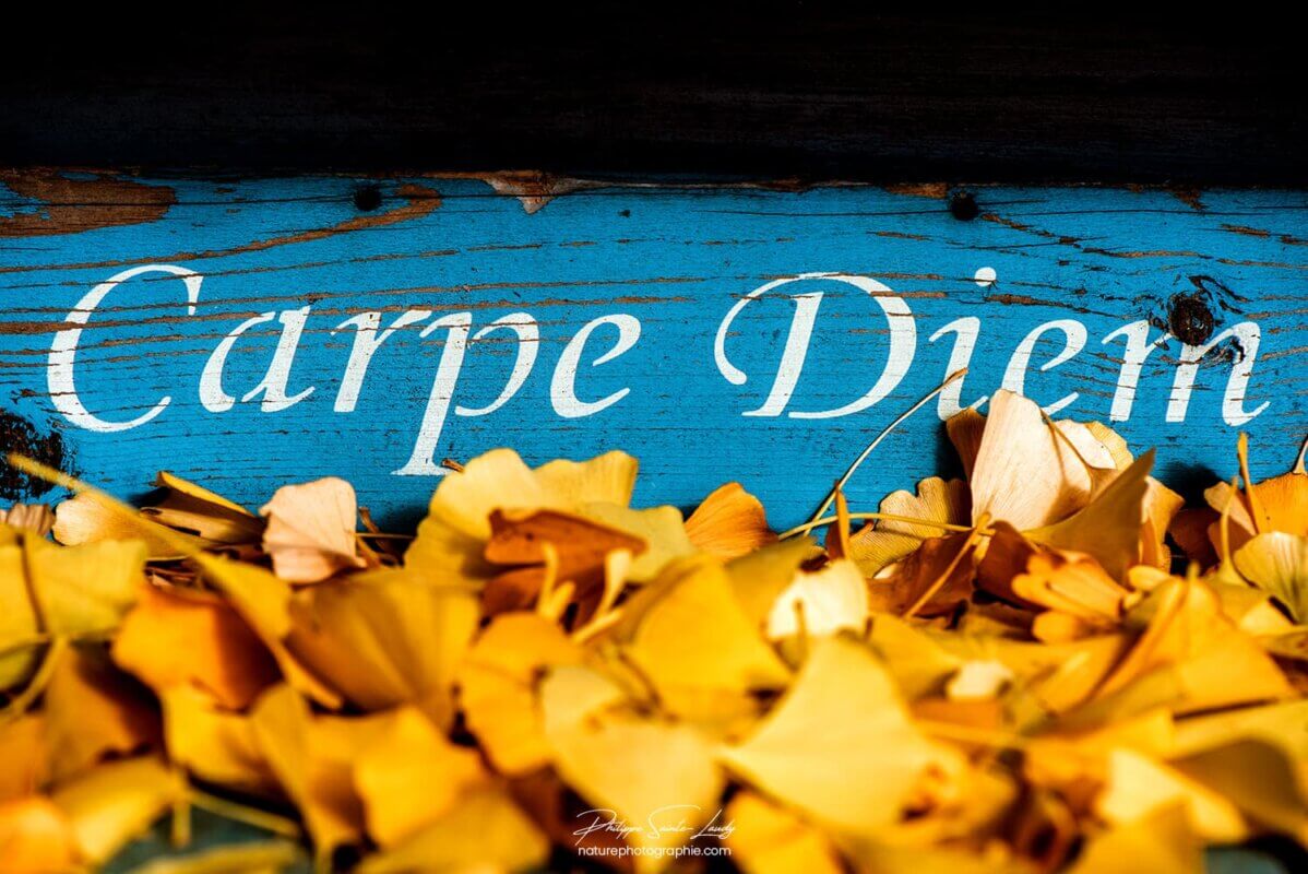 Carpe Diem