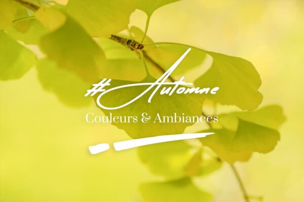 Des-photos-dautomne-21