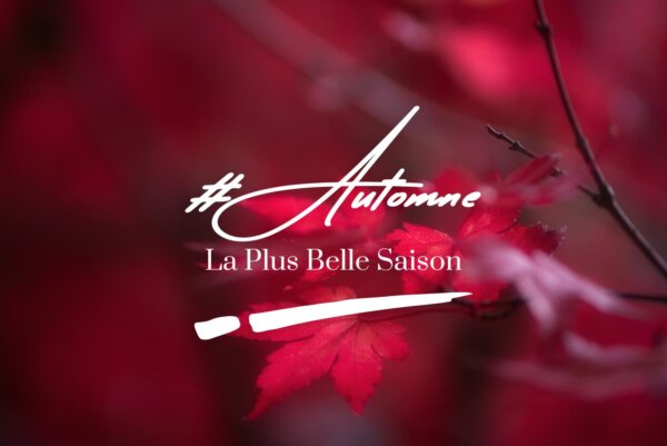 Des-photos-en-automne Des photos en automne