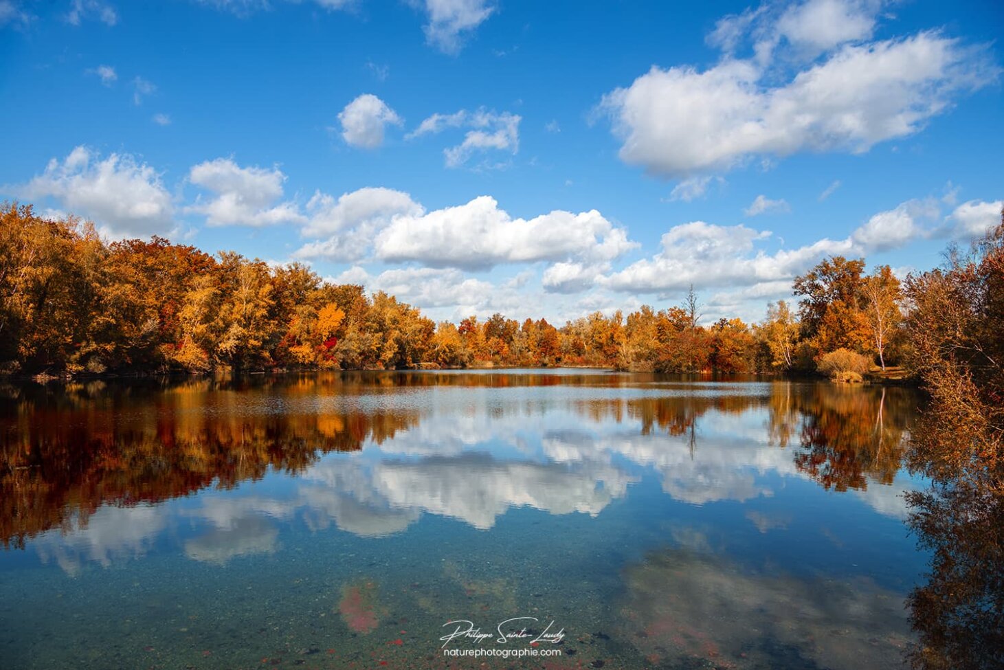 Reflet d'une forêt en automne