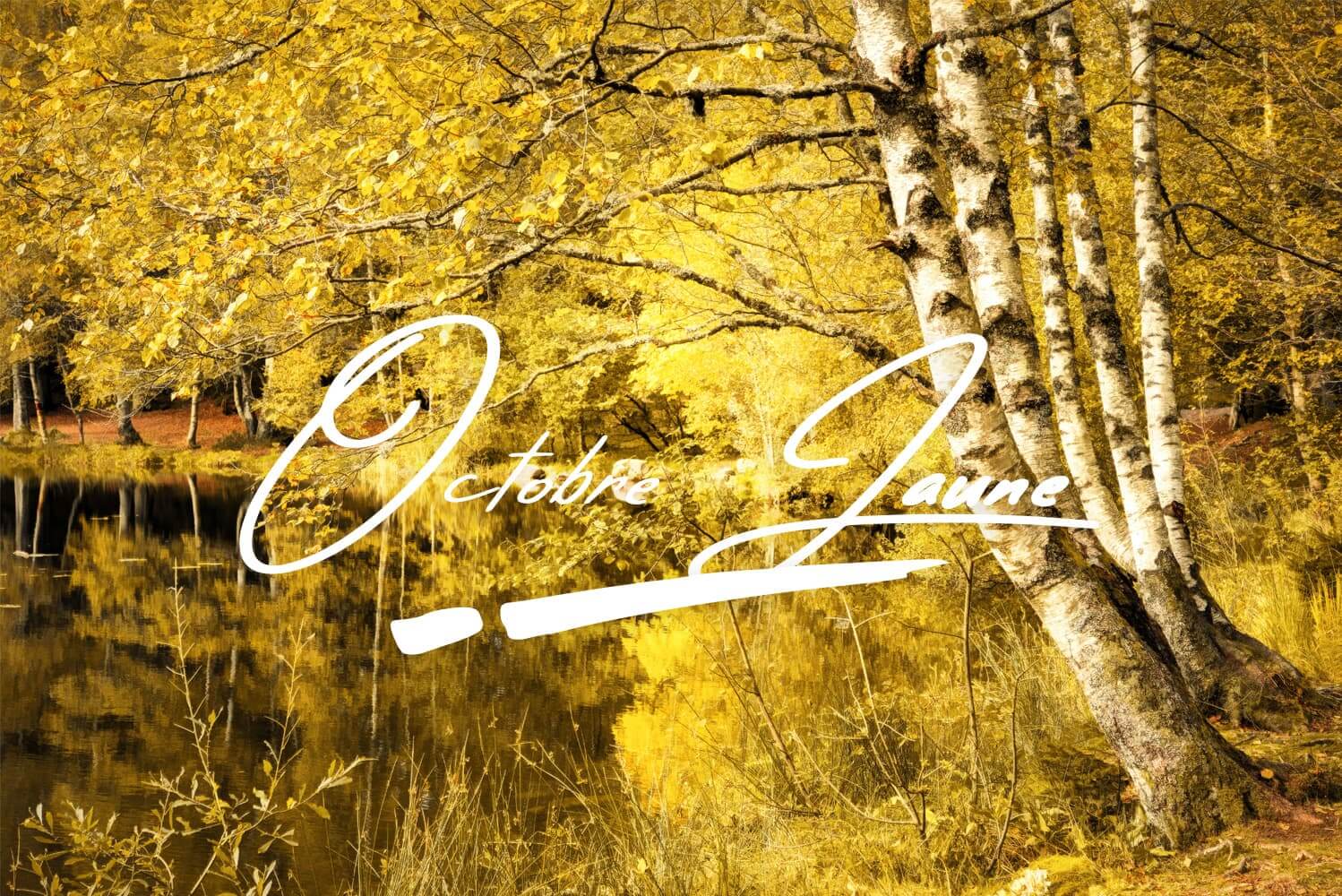 Jaune-comme-Octobre Photos jaunes d'octobre