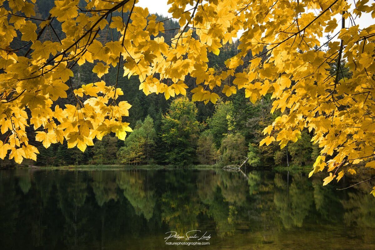 Couleurs d'automne