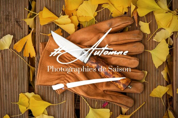 L'automne en photos