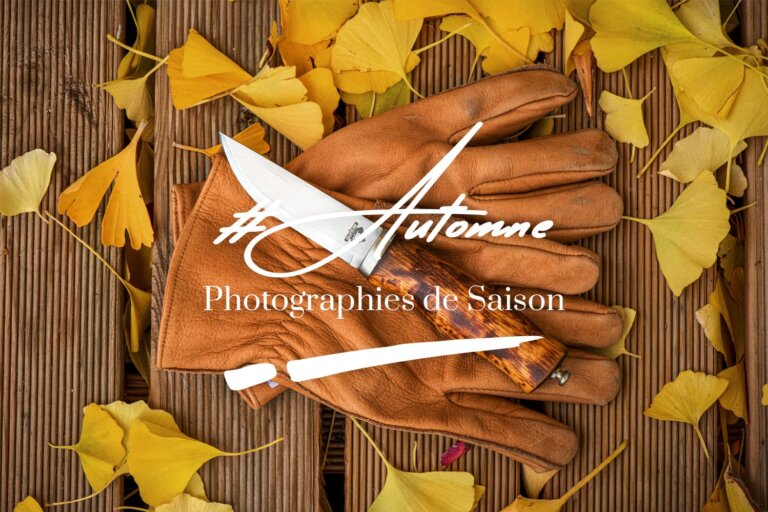 L'automne en photos