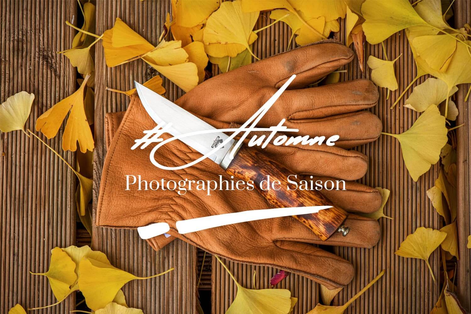 Saison-Automne L'automne en photos