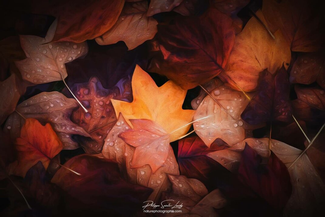 Paintographie de feuilles en automne