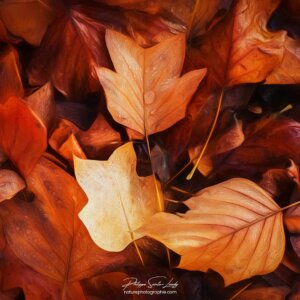 Autumn Brown Paintographie d'automne