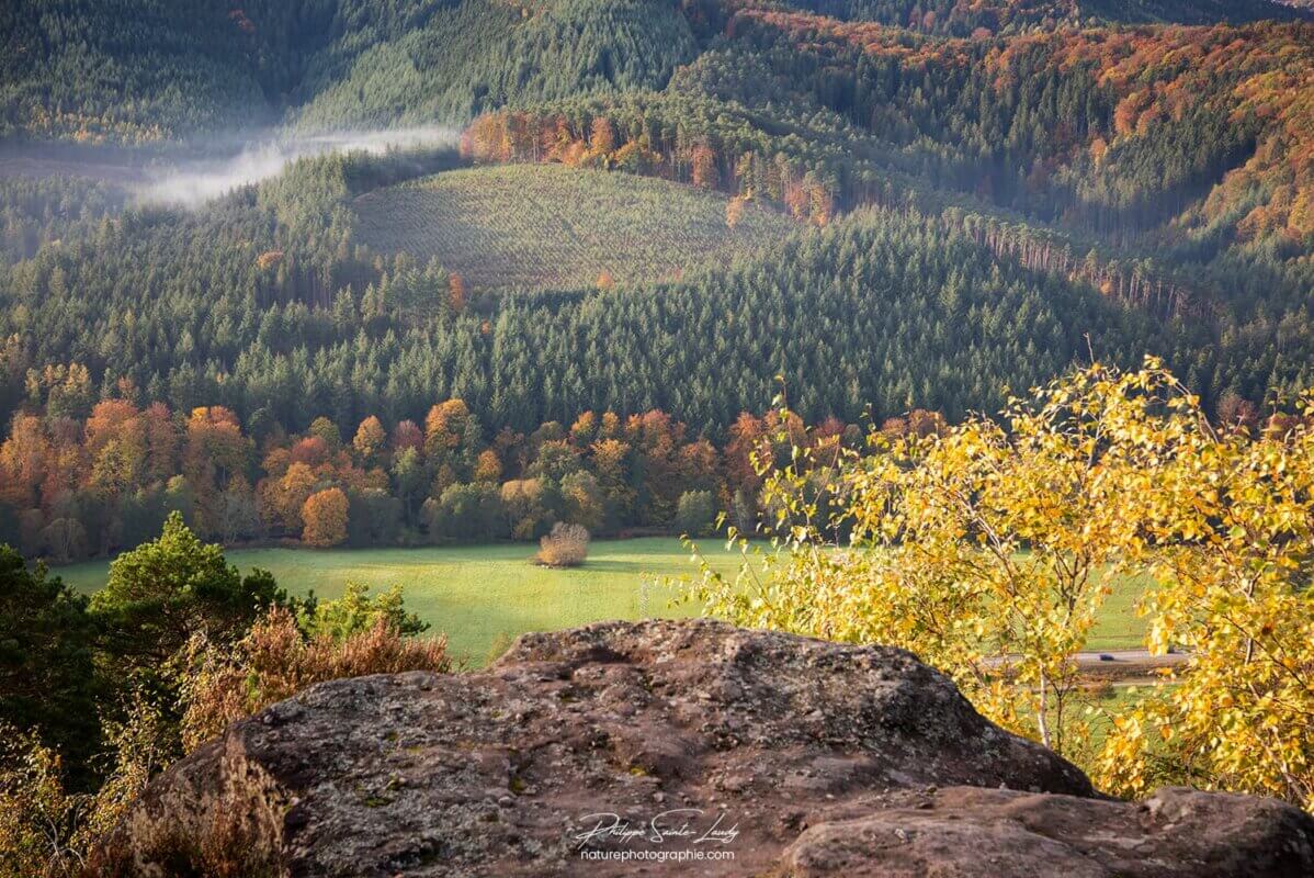 Paysage d'Alsace en automne
