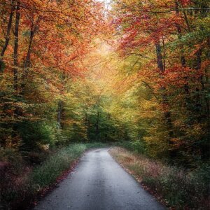 Balade sur une route en automne