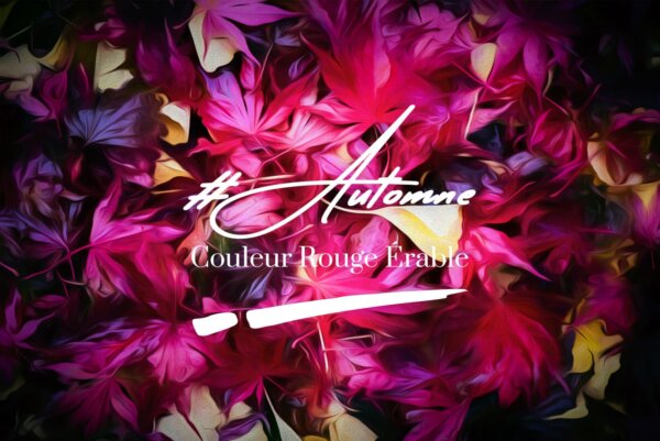 Photos d'érable rouge