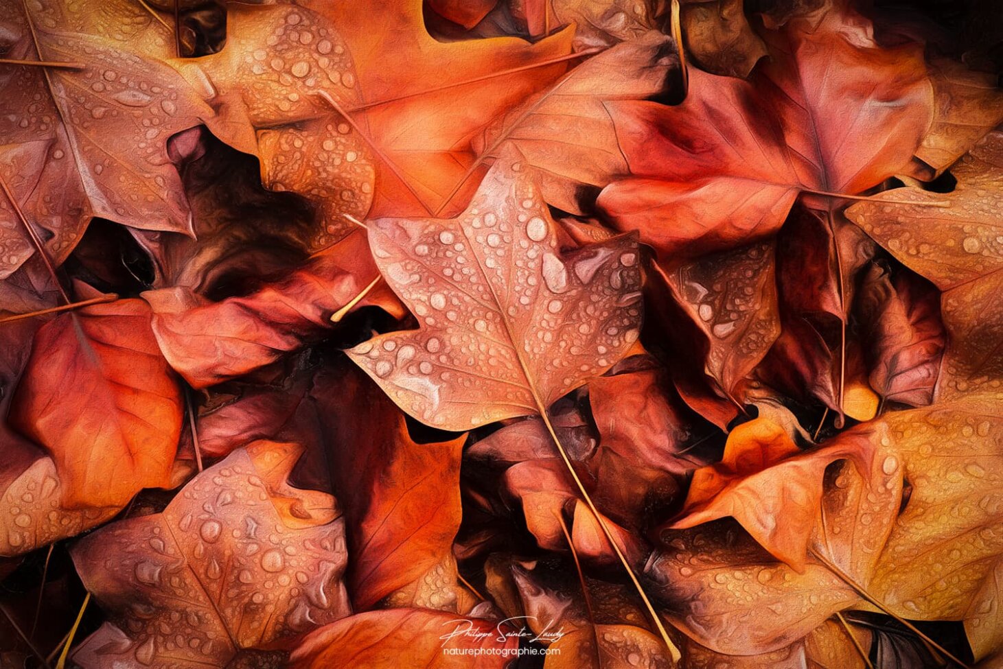 Une paintographie de feuilles en automne