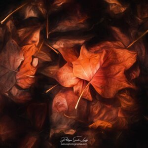 Leaves of Leather Des feuilles à l'apparence du cuir