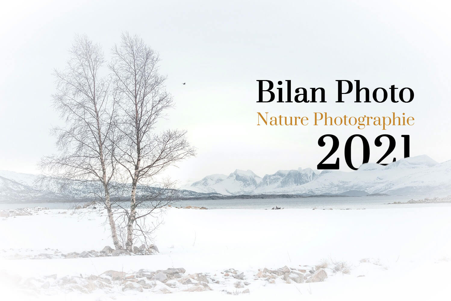 Le bilan photo 2021
