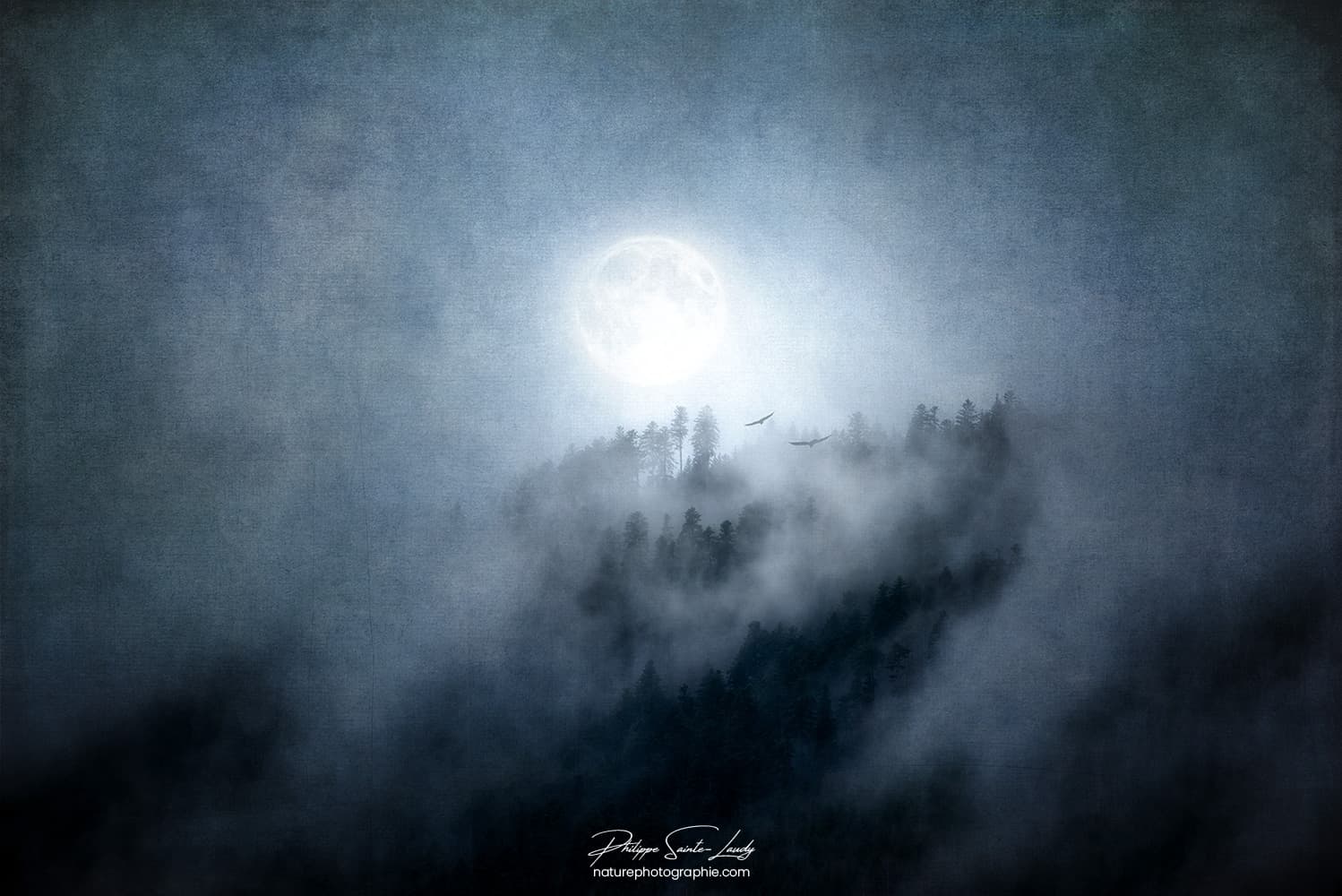 Lune dans le brouillard