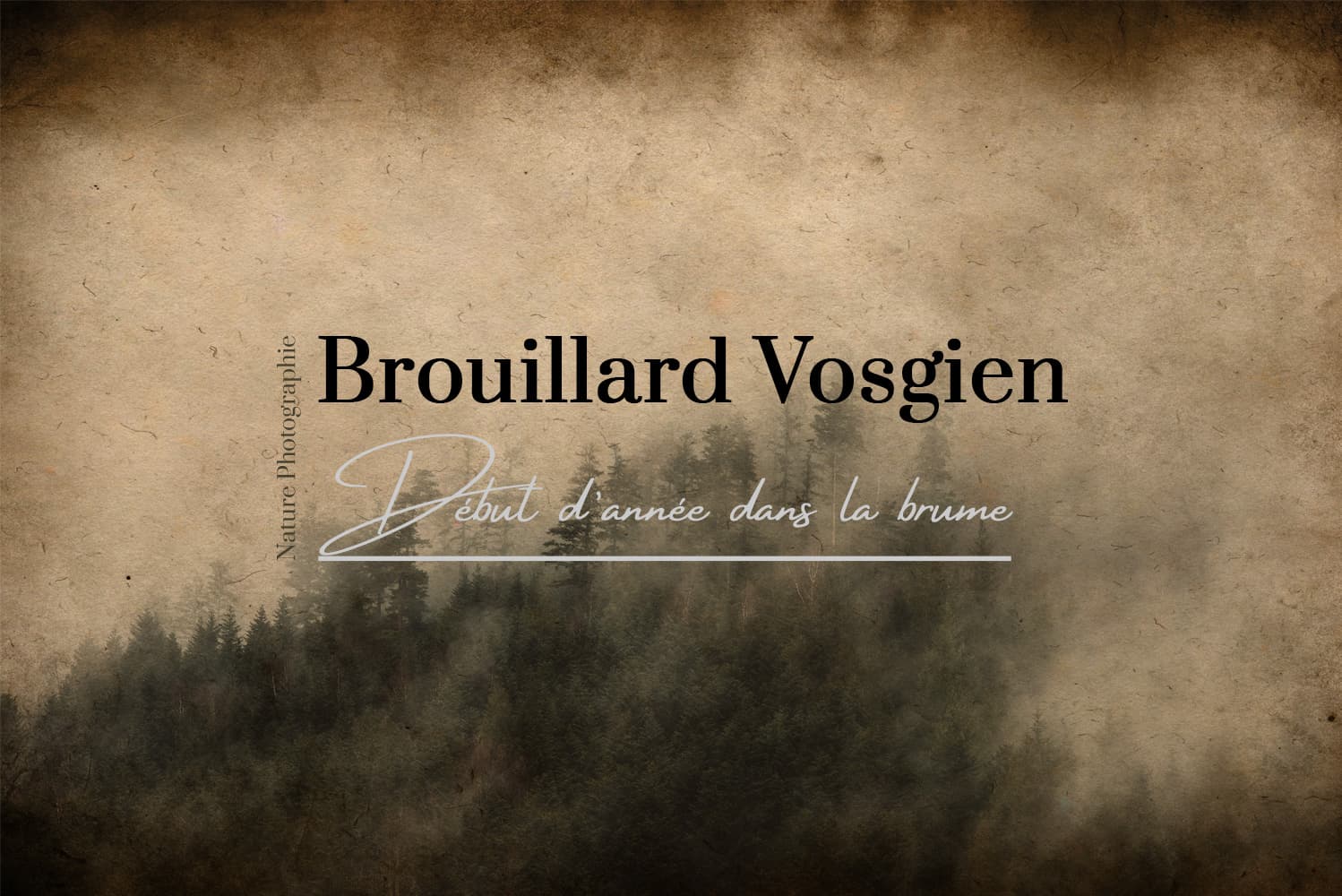 Brouillard Vosgien Brouillard Vosgien