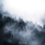 Brouillard dans les Vosges