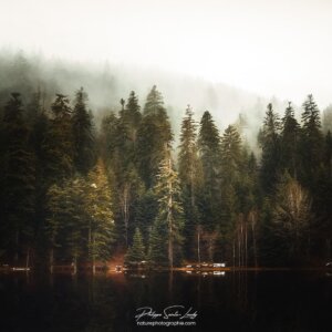 Winter Light in the Vosges Lac de la Maix dans le brouillard