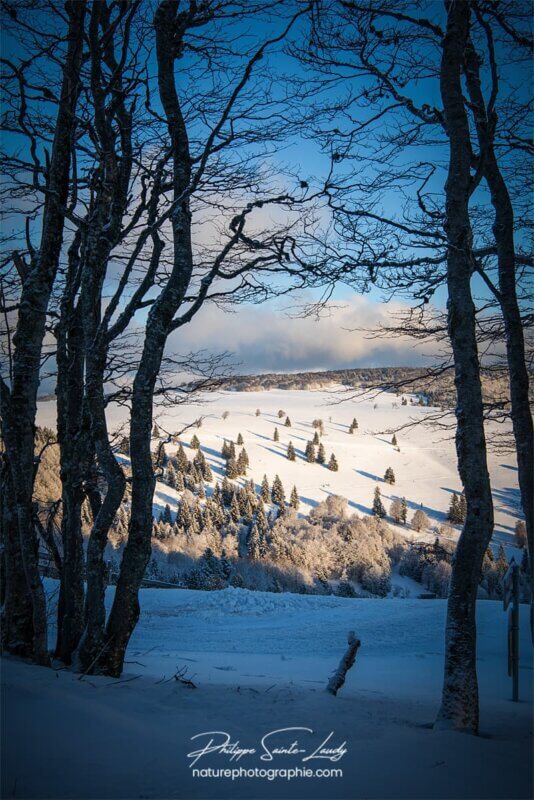 Vue depuis le Markstein