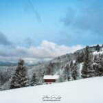 Paysage enneigé au Markstein