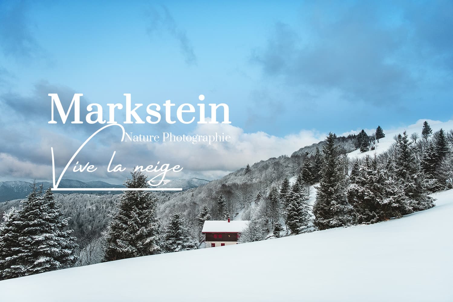 Photos du Markstein en hiver