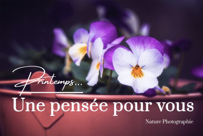 Une-pensée-pour-vous Photo de pensées