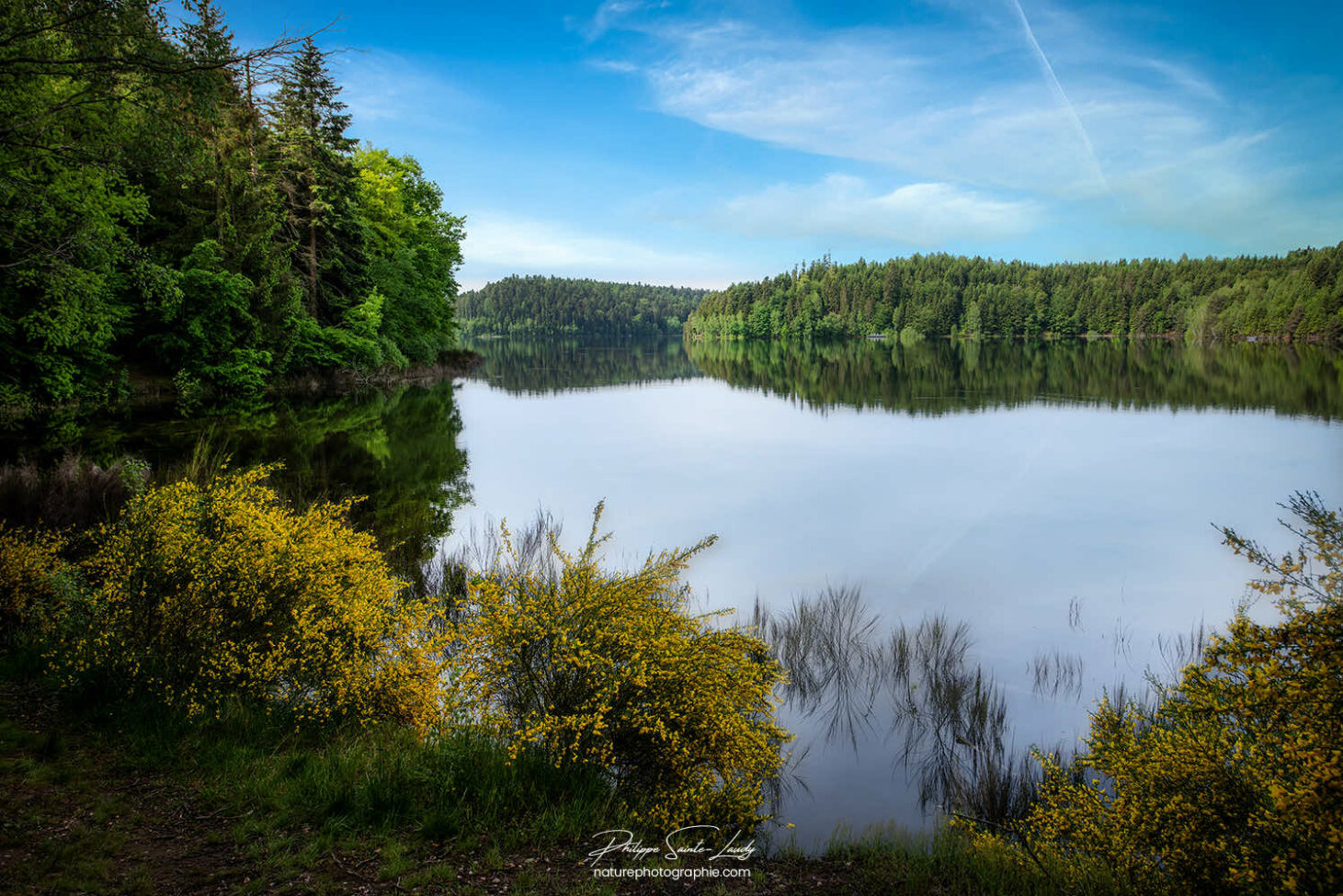 Paysage de Pierre-Percée