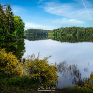 A Door Into Summer Paysage de Pierre-Percée