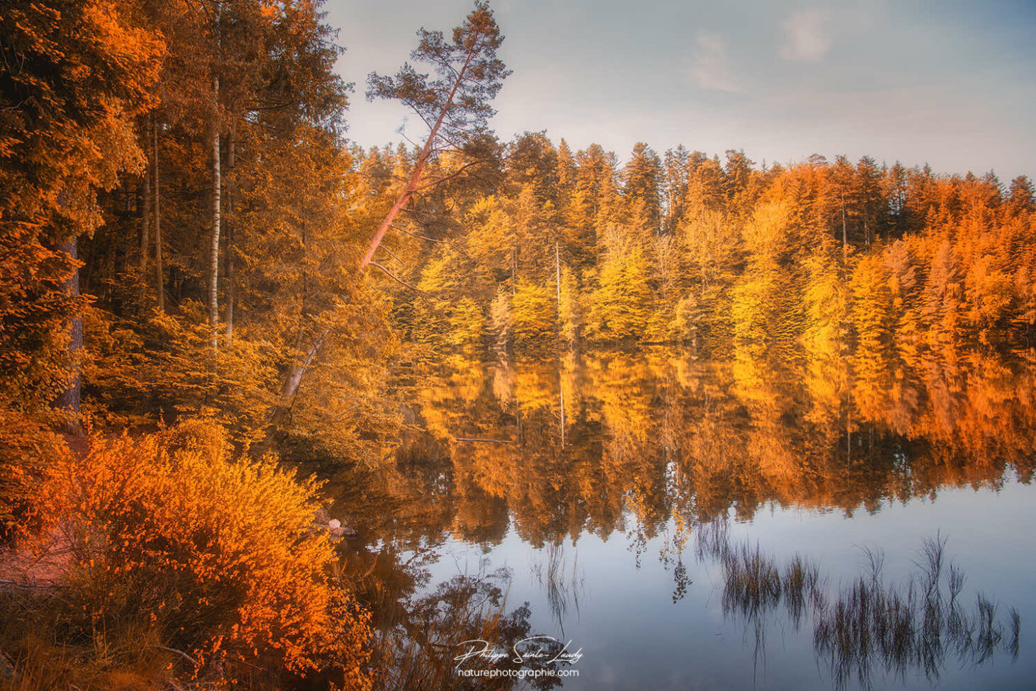 Automne à Pierre-Percée