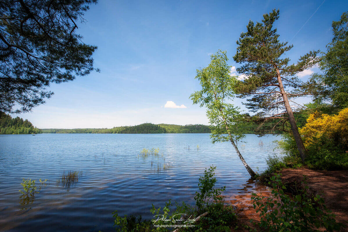 Nature au lac de Pierre-Percée