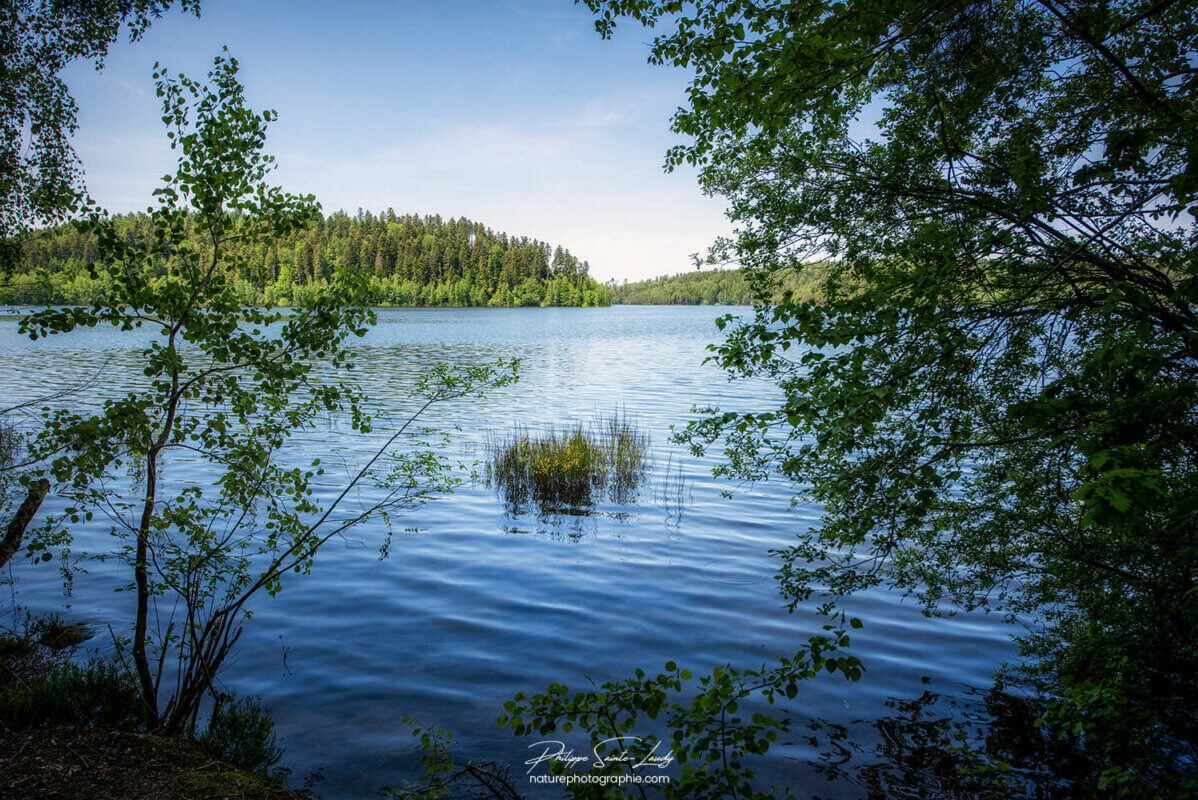 Photo du lac de pierre-Percée