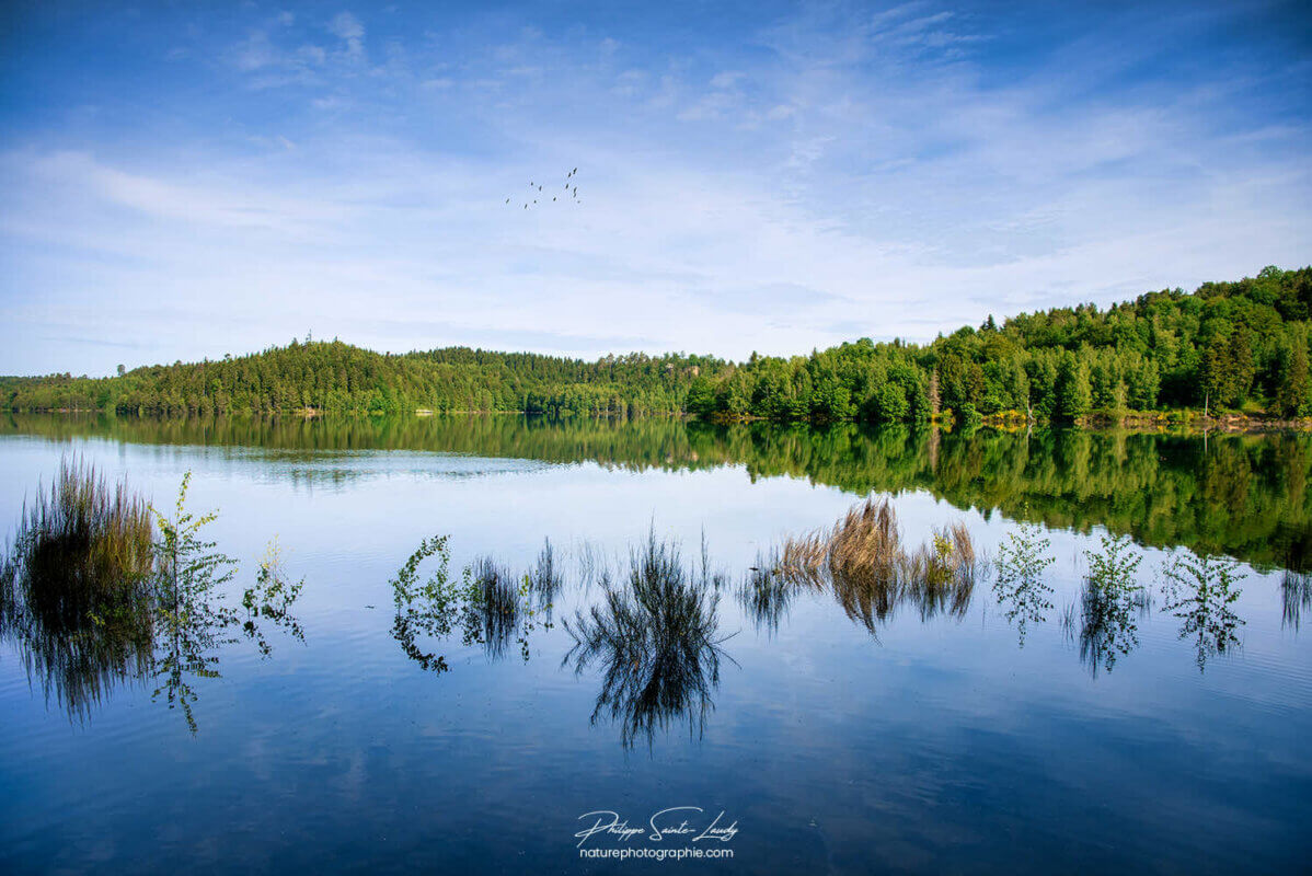 Paysage naturel autour d'un lac