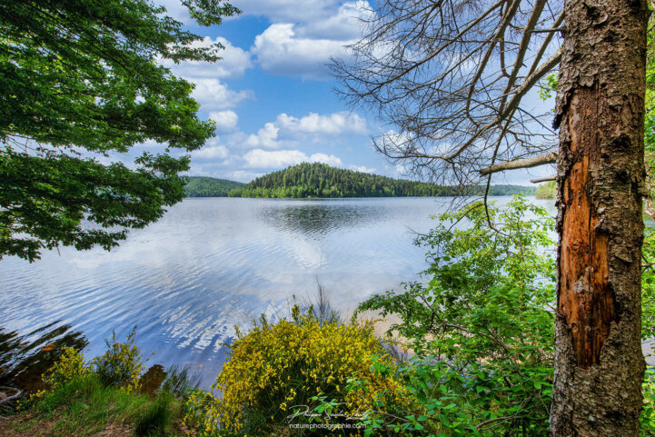 Pierre-Percée un jour en été