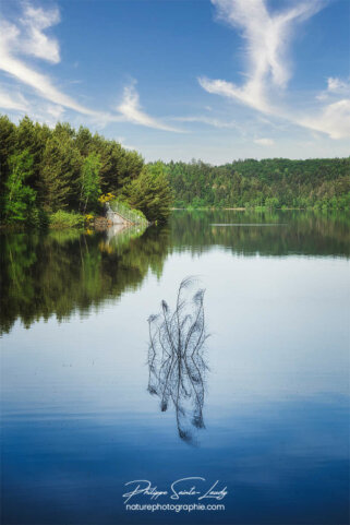 Reflet sur un lac