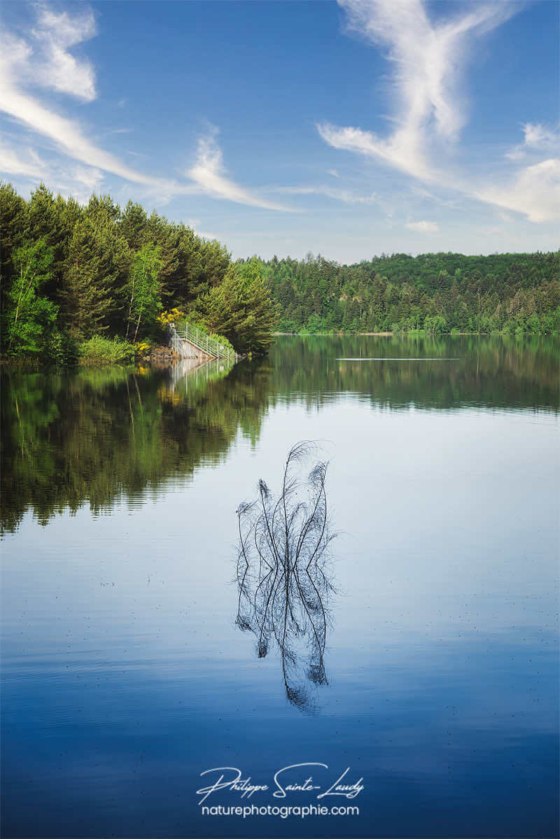 Reflet sur un lac
