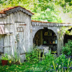 Arrière-cour avec jardin