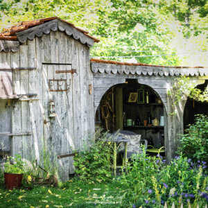 Arrière-cour avec jardin