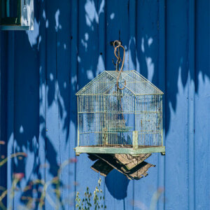 La cage Cage à oiseau