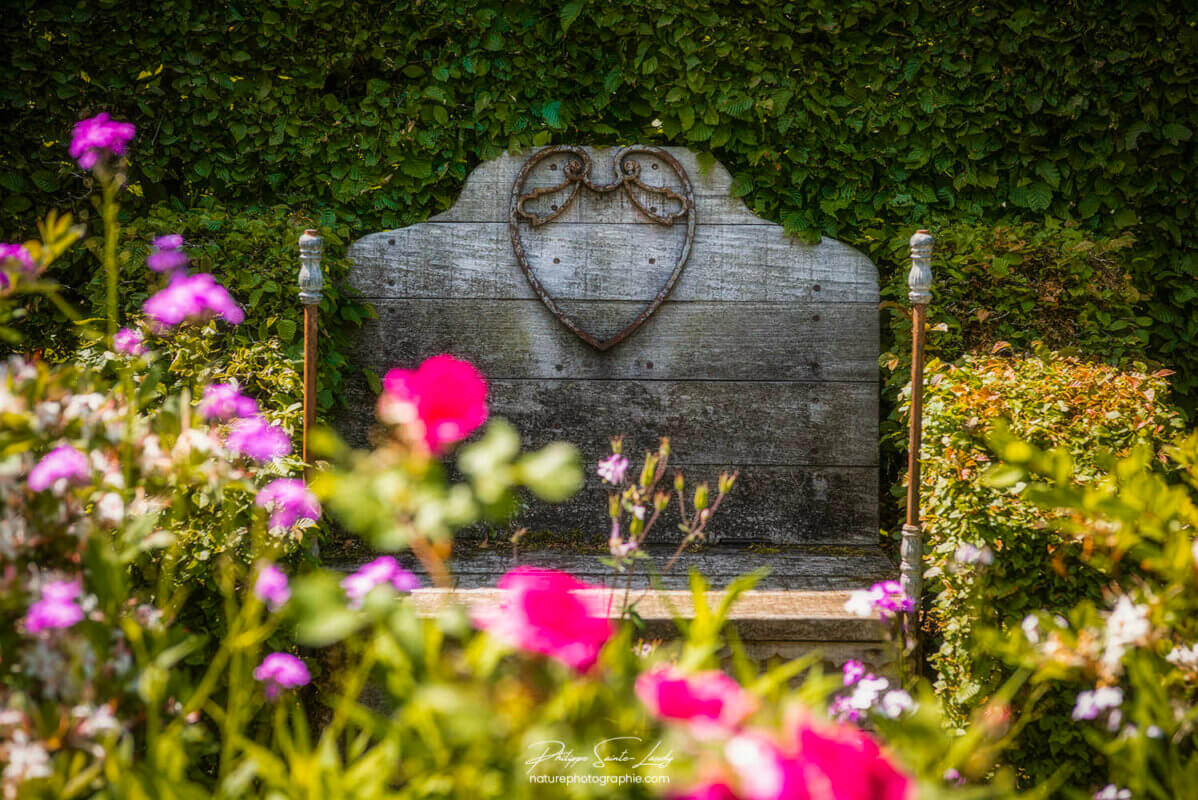 Un banc au milieu des fleurs